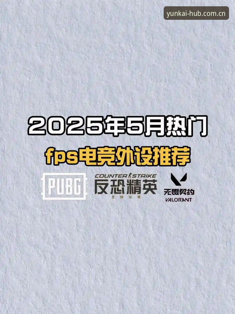 云开平台2025新版深度评测：实时赔率、电竞数据与注册流程全面解析